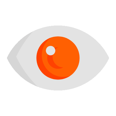 Vision
